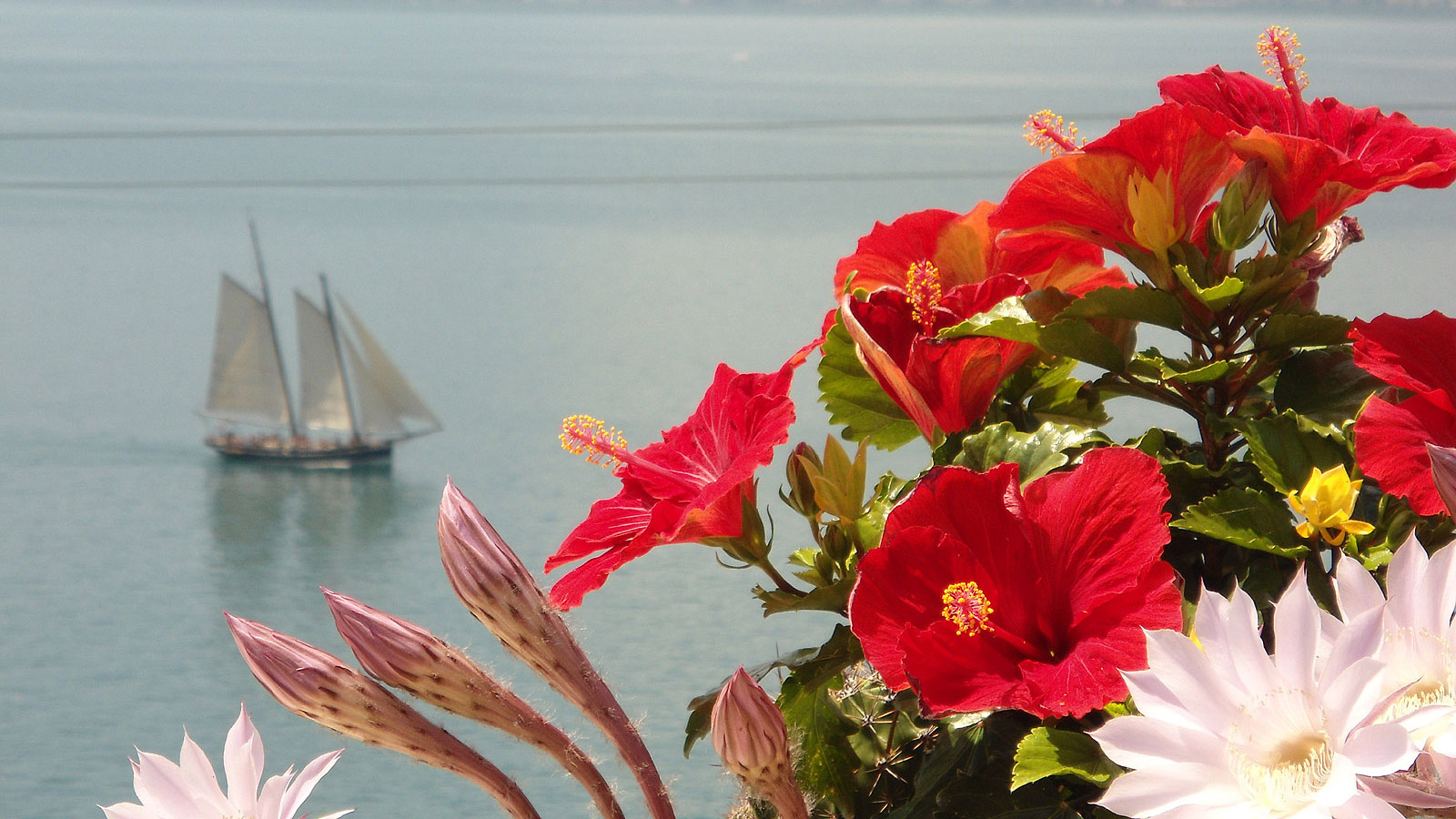 <div style="text-align: left">Welcome <strong>to the Paradise!</strong><br>M<strong>emorable</strong> Holidays<br>at the <strong>Lake Garda</strong></div>